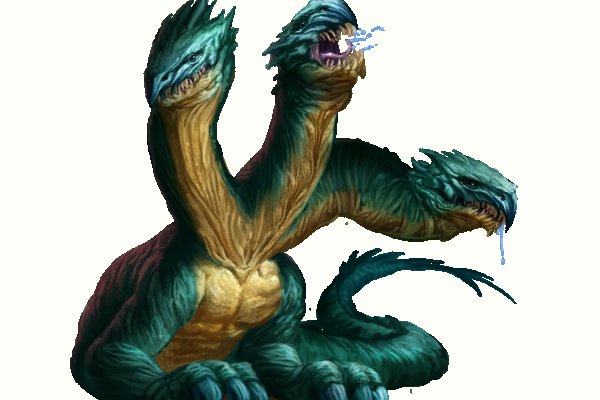 Kraken onion 2024